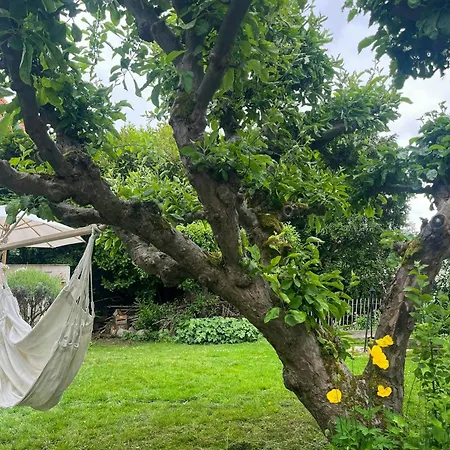 Charming House With Garden And Terrace On Amager *