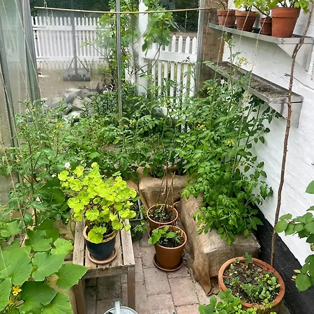 Charming House With Garden And Terrace On Amager Dom wakacyjny Kopenhaga